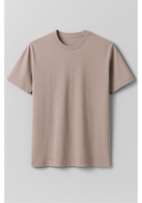 T-shirt Uomo Stone in Cotone Ice Fresco e Minimal ALPHA STUDIO | T-shirt | AU-1330C1006